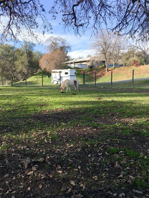 2980 Gillespie Rd, Cool, CA 95614 photo 18