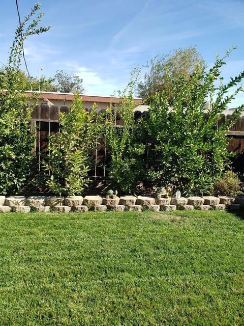 818 N Ralph Ave, Manteca, CA 95336 photo 15