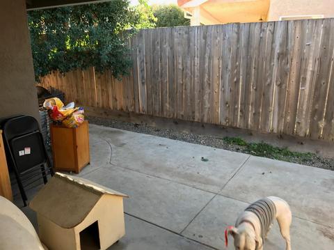 1001 Jayhawk Way, Modesto, CA 95358 photo 16