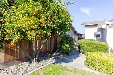 540 Cornell Dr, Turlock, CA 95382 photo 24