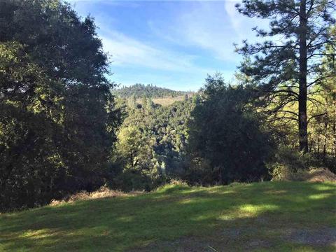 1160 Stanley Rd, West Point, CA 95255 photo 20