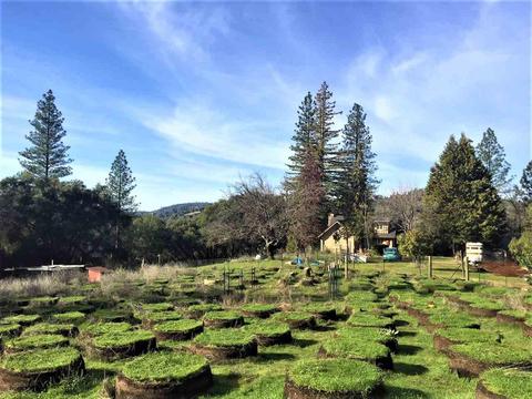 1160 Stanley Rd, West Point, CA 95255 photo 21