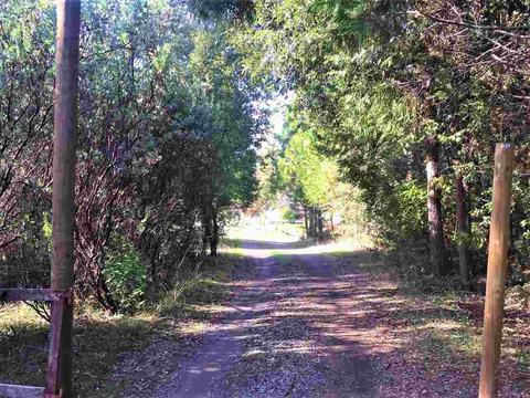1160 Stanley Rd, West Point, CA 95255 photo 28