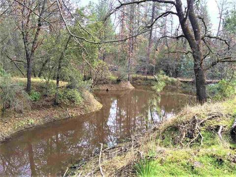 935 Stanley Rd, West Point, CA 95255 photo 20