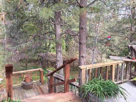 935 Stanley Rd, West Point, CA 95255 photo 15