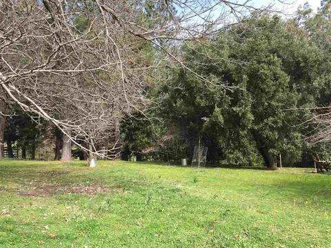 935 Stanley Rd, West Point, CA 95255 photo 26