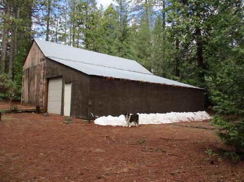 24750 Shake Ridge Rd, Volcano, CA 95689 photo 10