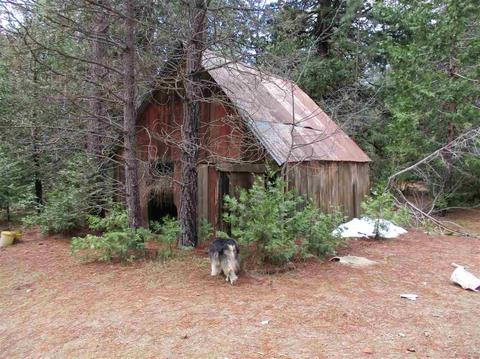 24750 Shake Ridge Rd, Volcano, CA 95689 photo 15