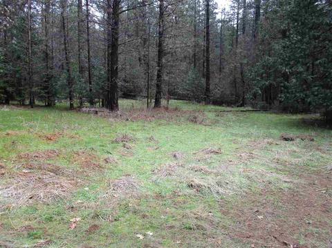 24750 Shake Ridge Rd, Volcano, CA 95689 photo 5