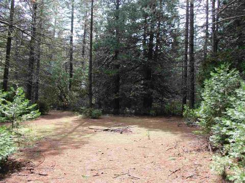 24750 Shake Ridge Rd, Volcano, CA 95689 photo 6