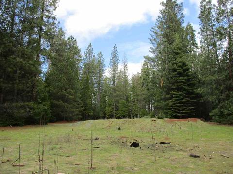 24750 Shake Ridge Rd, Volcano, CA 95689 photo 8