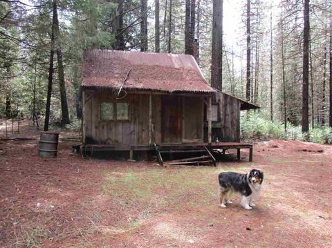 24750 Shake Ridge Rd, Volcano, CA 95689 photo 16