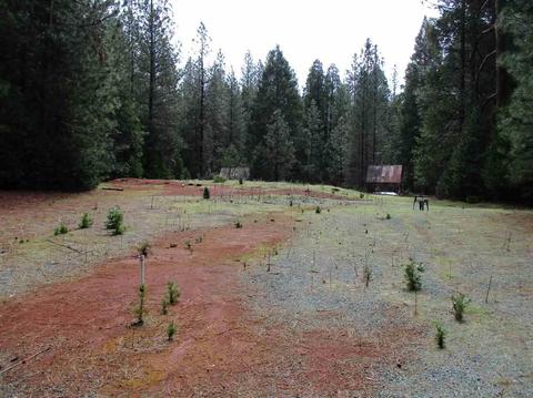 24750 Shake Ridge Rd, Volcano, CA 95689 photo 7