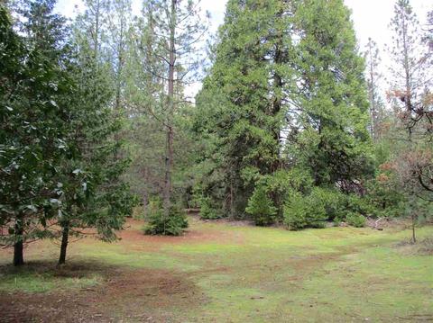 24750 Shake Ridge Rd, Volcano, CA 95689 photo 4