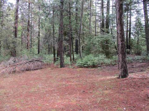 24750 Shake Ridge Rd, Volcano, CA 95689 photo 9