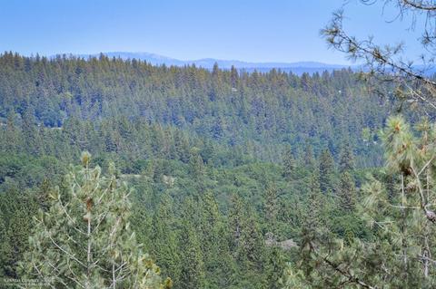 15552 Wolf Mountain Rd, Grass Valley, CA 95949 photo 8