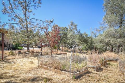 15552 Wolf Mountain Rd, Grass Valley, CA 95949 photo 5