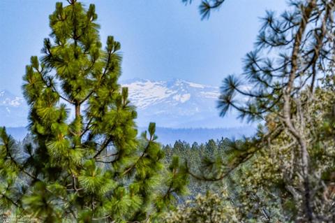 15552 Wolf Mountain Rd, Grass Valley, CA 95949 photo 7