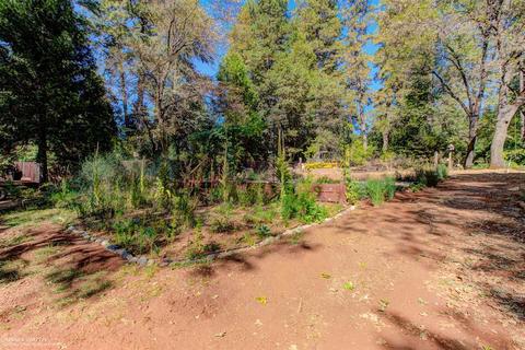 10555 Walker Dr, Grass Valley, CA 95945 photo 21