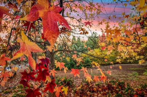 Undisclosed, Grass Valley, CA 95949 photo 3