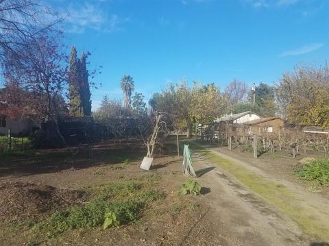 0 630 E Main, Ripon, CA 95366 photo 5