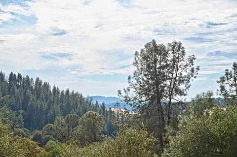 2410 Buds Aly, Cool, CA 95614 photo 3