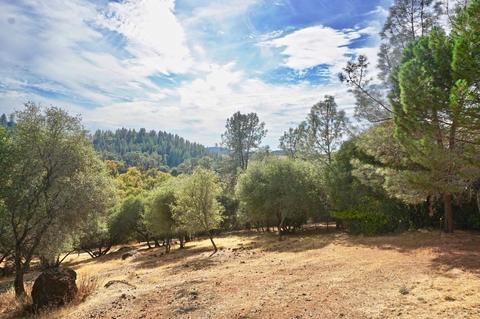 2410 Buds Aly, Cool, CA 95614 photo 22