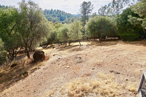 2410 Buds Aly, Cool, CA 95614 photo 23