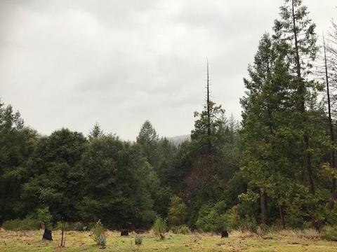 21830 Allan Rd, Volcano, CA 95689 photo 28