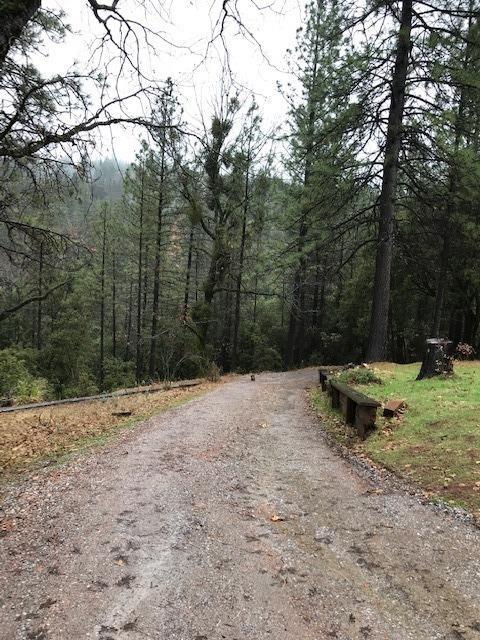 21830 Allan Rd, Volcano, CA 95689 photo 30