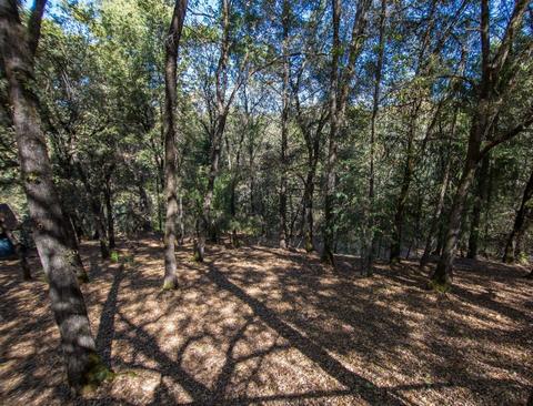 24230 Pine Grove Pl, Colfax, CA 95713 photo 22