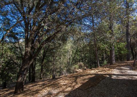 24230 Pine Grove Pl, Colfax, CA 95713 photo 20