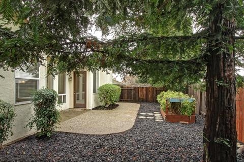 3209 Thistle Ct, Rocklin, CA 95765 photo 32