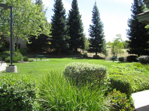 3209 Thistle Ct, Rocklin, CA 95765 photo 36