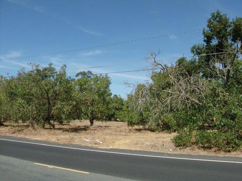 415 Pringle Ave, Galt, CA 95632 photo 4