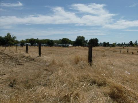 415 Pringle Ave, Galt, CA 95632 photo 5