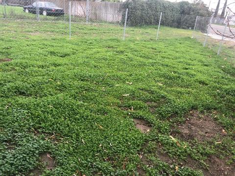 5538 Rohde Rd, Keyes, CA 95328 photo 29