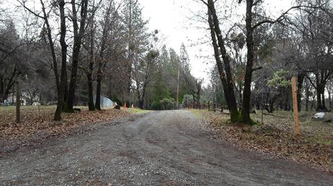 25425 Pineview Dr, Colfax, CA 95713 photo 9
