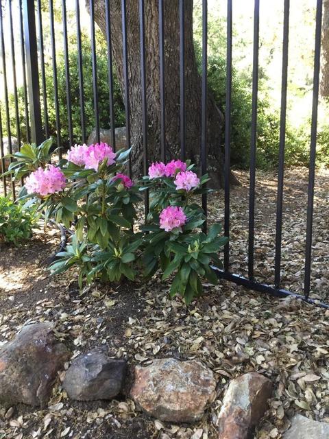 2325 Fieldstone Dr, Placerville, CA 95667 photo 55