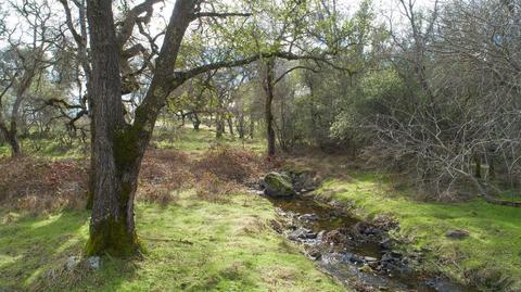 1300 Los Robles Rd, Placerville, CA 95667 photo 43