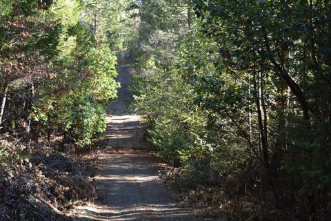 5051 Bootjack Mine Rd, Georgetown, CA 95634 photo 8