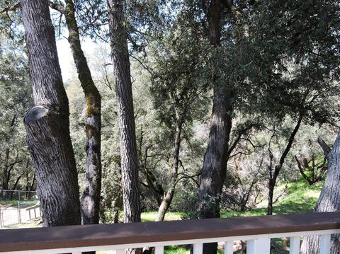 248 Scholtz Ave, Colfax, CA 95713 photo 31