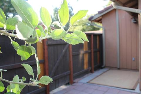 4057 Elmo Loop Ave #D, Modesto, CA 95356 photo 20