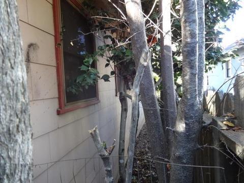 609 Le Duc St, Grass Valley, CA 95945 photo 13