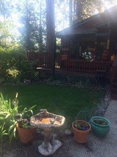680 Boole Rd, Applegate, CA 95703 photo 31