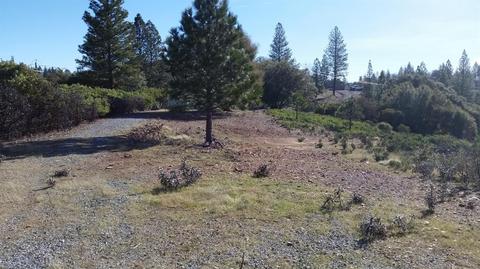 11021 Tabeaud Rd, Pine Grove, CA 95665 photo 10