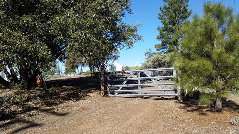 11021 Tabeaud Rd, Pine Grove, CA 95665 photo 5