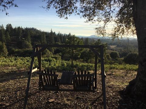 11021 Tabeaud Rd, Pine Grove, CA 95665 photo 1