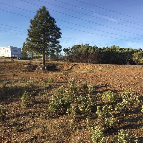 11021 Tabeaud Rd, Pine Grove, CA 95665 photo 13