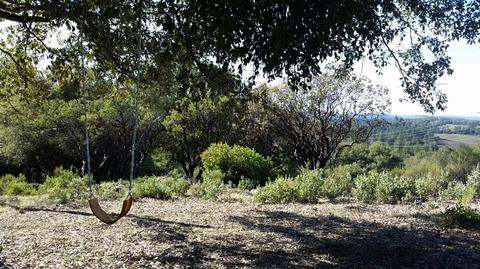11021 Tabeaud Rd, Pine Grove, CA 95665 photo 6